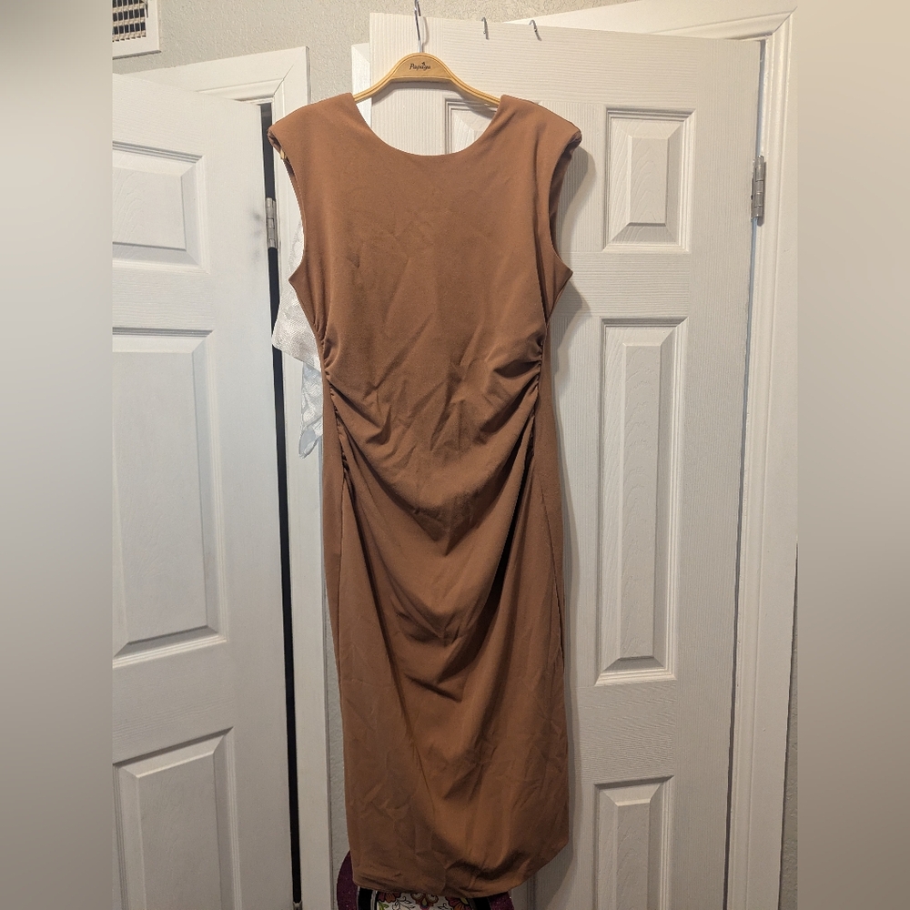 Alex Marie Brown Ruched Sheath Dress Sleeveless